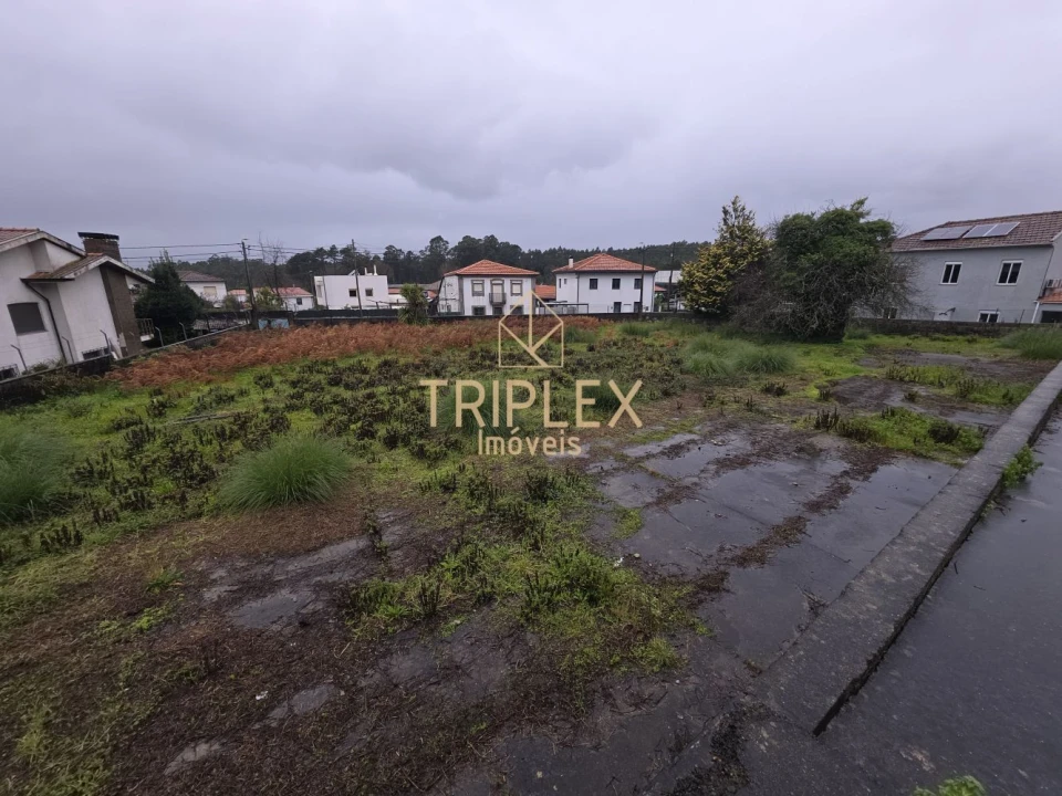 Loja para Venda em Nogueira e Silva Escura Foto 6