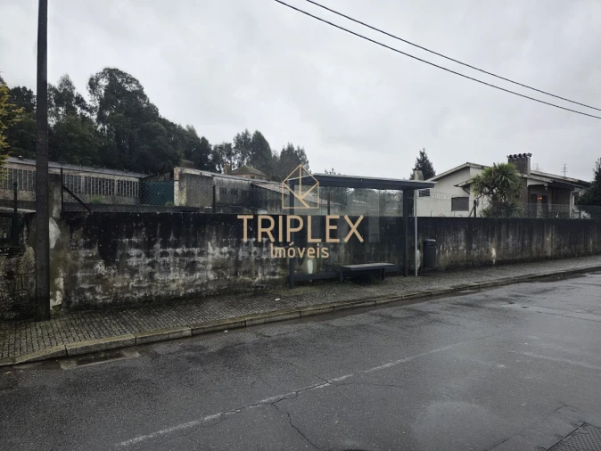 Loja para Venda em Nogueira e Silva Escura Foto 12