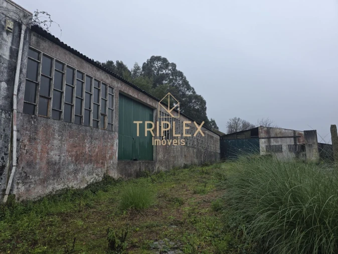 Loja para Venda em Nogueira e Silva Escura Foto 2