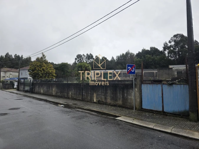 Loja para Venda em Nogueira e Silva Escura Foto 13