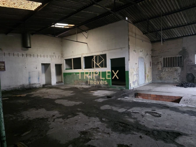 Loja para Venda em Nogueira e Silva Escura Foto 9