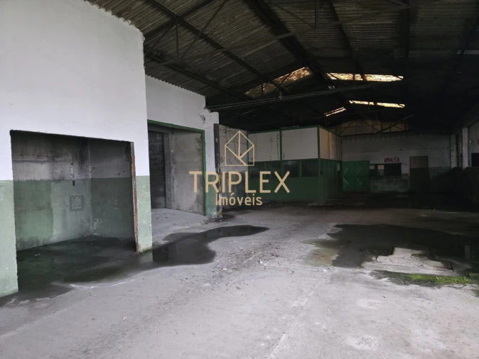 Loja para Venda em Nogueira e Silva Escura Foto 8