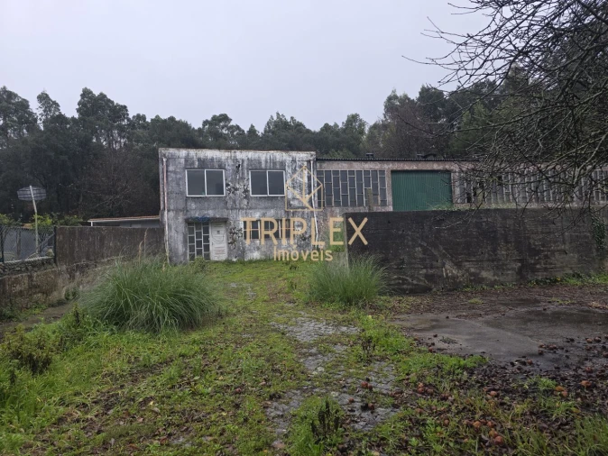 Loja para Venda em Nogueira e Silva Escura Foto 1