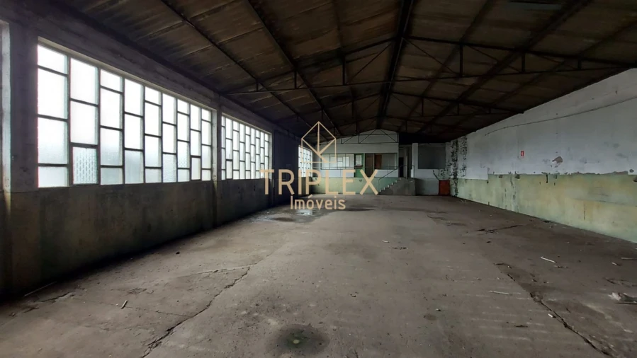 Loja para Venda em Nogueira e Silva Escura Foto 24