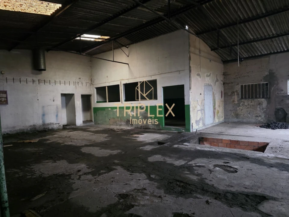 Loja para Venda em Nogueira e Silva Escura Foto 9