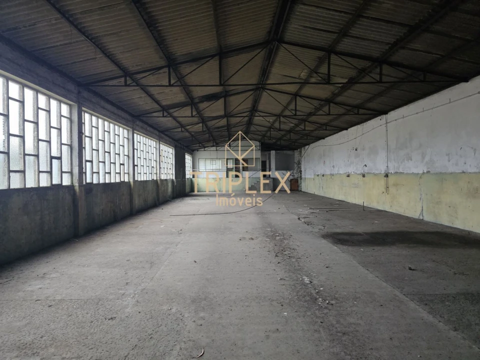 Loja para Venda em Nogueira e Silva Escura Foto 10