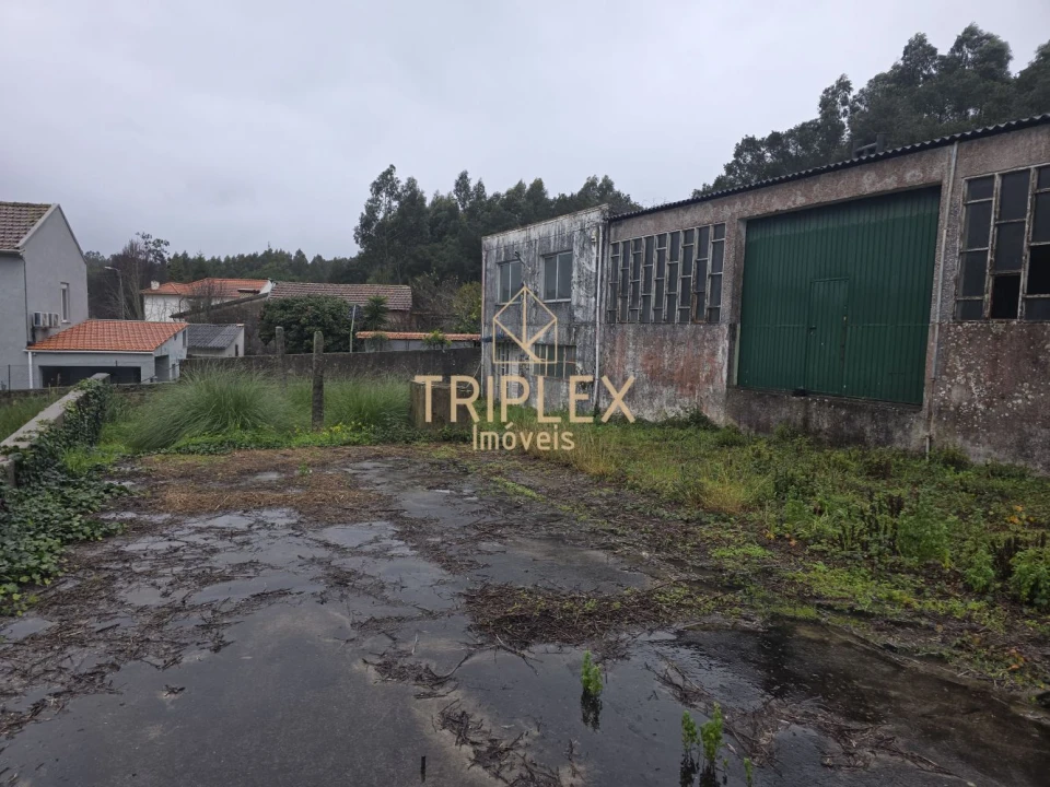 Loja para Venda em Nogueira e Silva Escura Foto 5