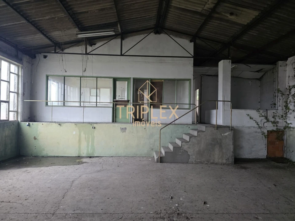 Loja para Venda em Nogueira e Silva Escura Foto 11