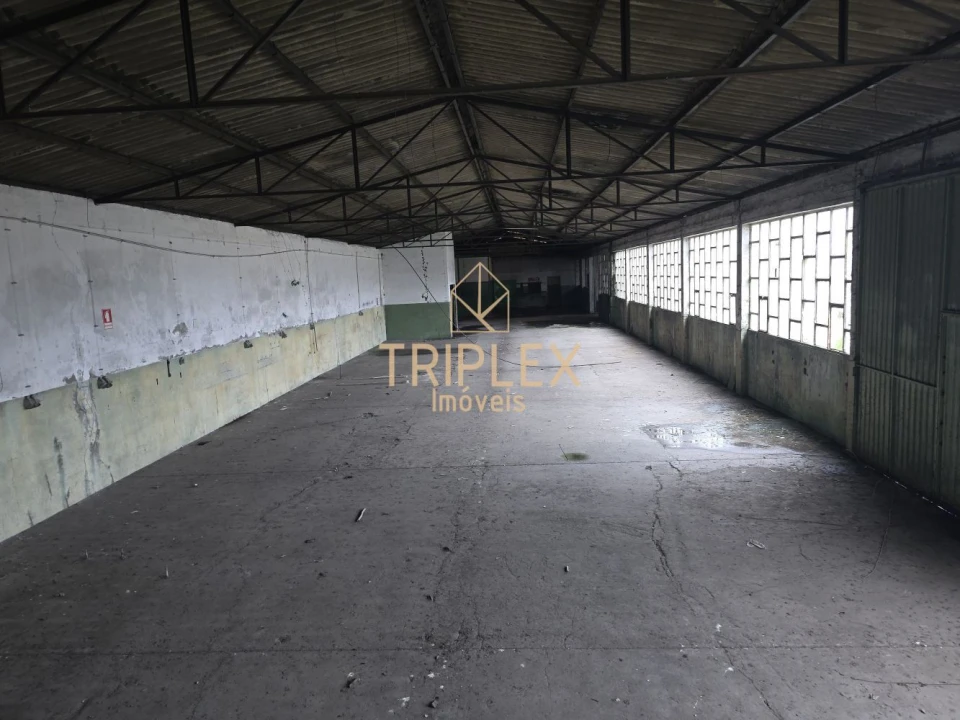 Loja para Venda em Nogueira e Silva Escura Foto 7