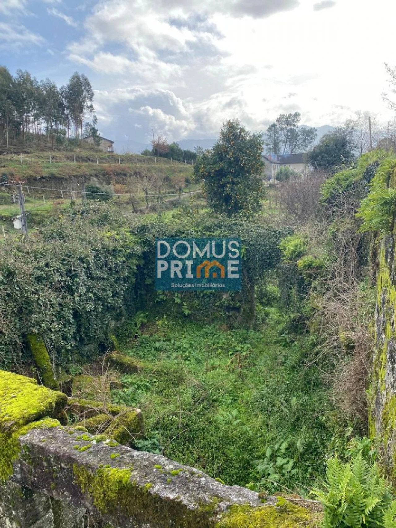 Moradia T2 para Venda em Valdreu Foto 2