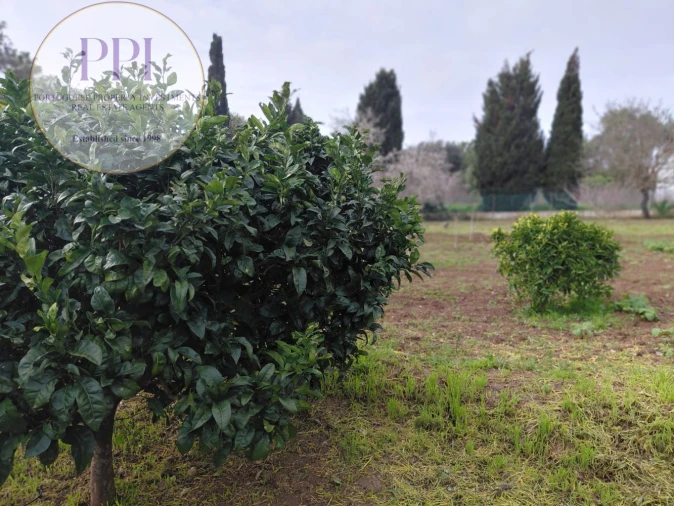 Moradia T3 para Venda em Lagos (São Sebastião e Santa Maria) Foto 11