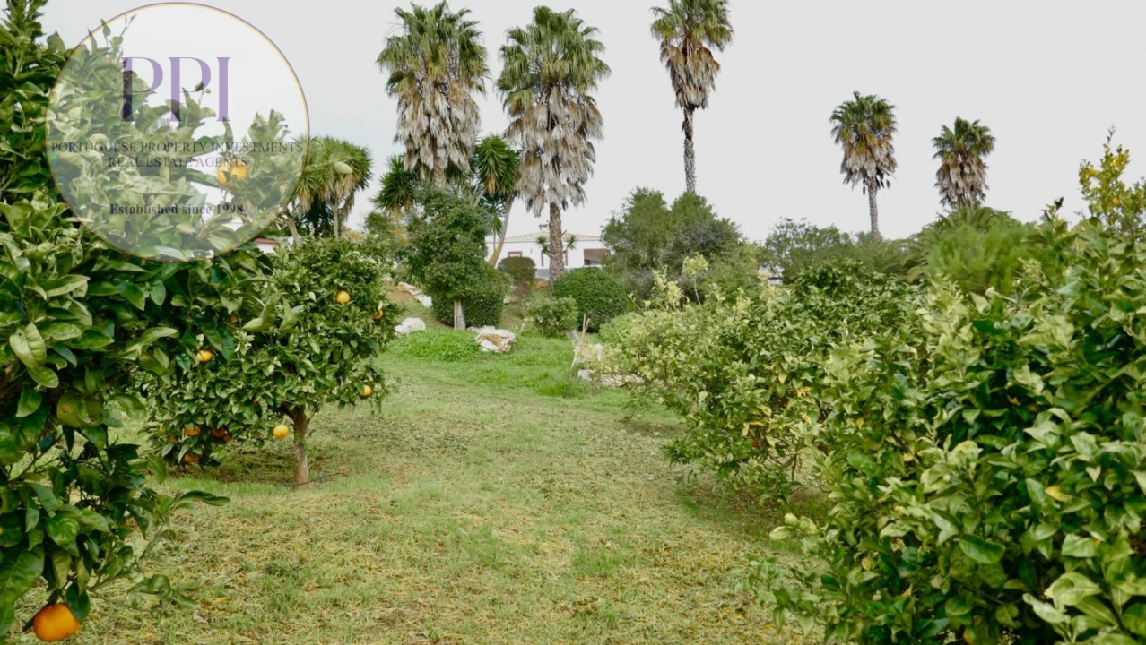 Moradia T3 para Venda em Lagos (São Sebastião e Santa Maria) Foto 39