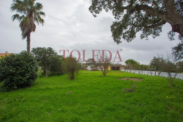 Moradia T3 para Venda em Glória do Ribatejo e Granho Foto 38