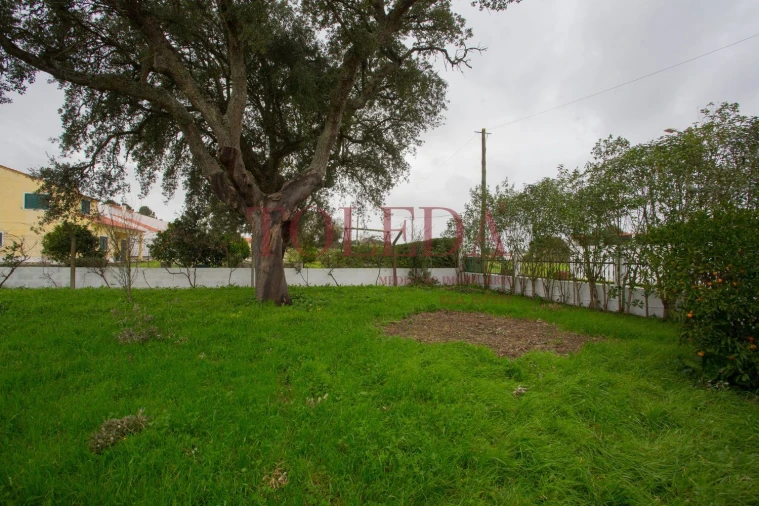 Moradia T3 para Venda em Glória do Ribatejo e Granho Foto 35