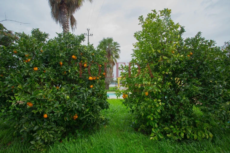 Moradia T3 para Venda em Glória do Ribatejo e Granho Foto 39