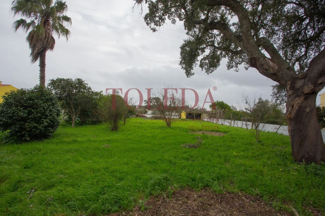 Moradia T3 para Venda em Glória do Ribatejo e Granho Foto 37