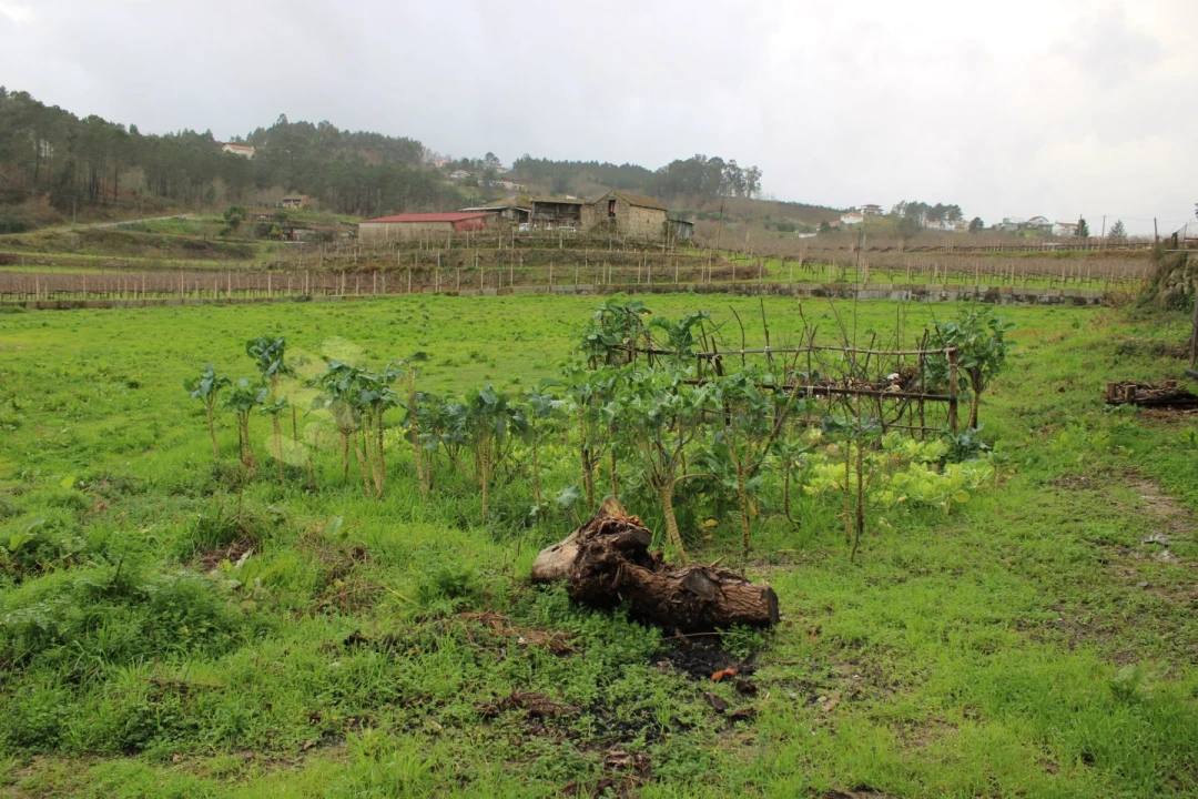 Moradia T3 para Venda em Sobretamega Foto 10