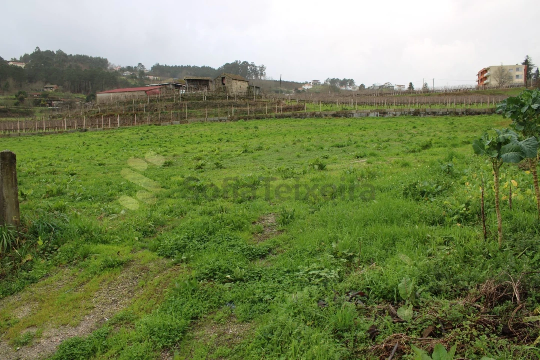 Moradia T3 para Venda em Sobretamega Foto 11