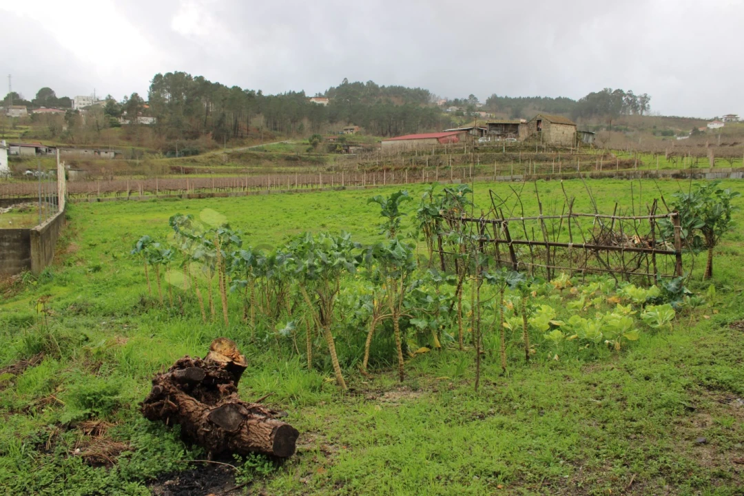 Moradia T3 para Venda em Sobretamega Foto 12