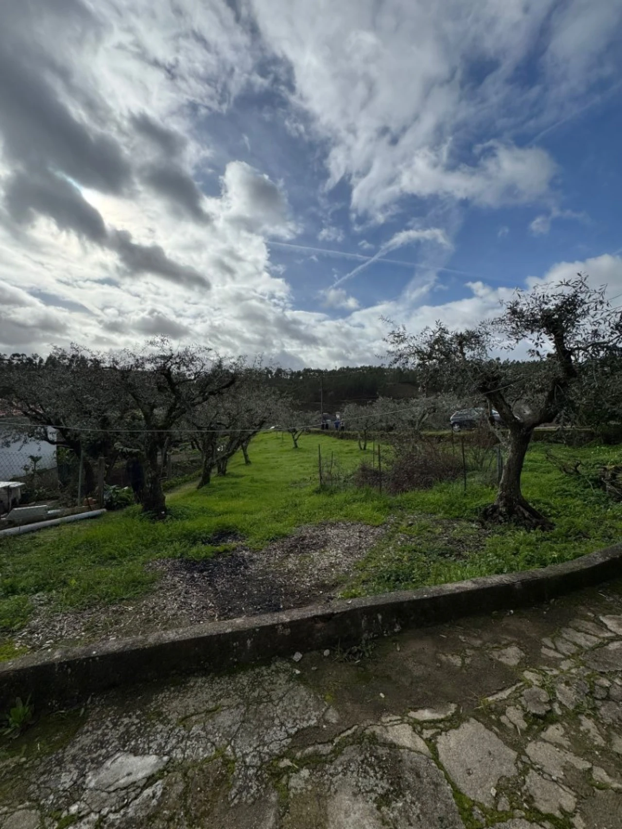 Moradia T2 para Venda em Mação, Penhascoso e Aboboreira Foto 18