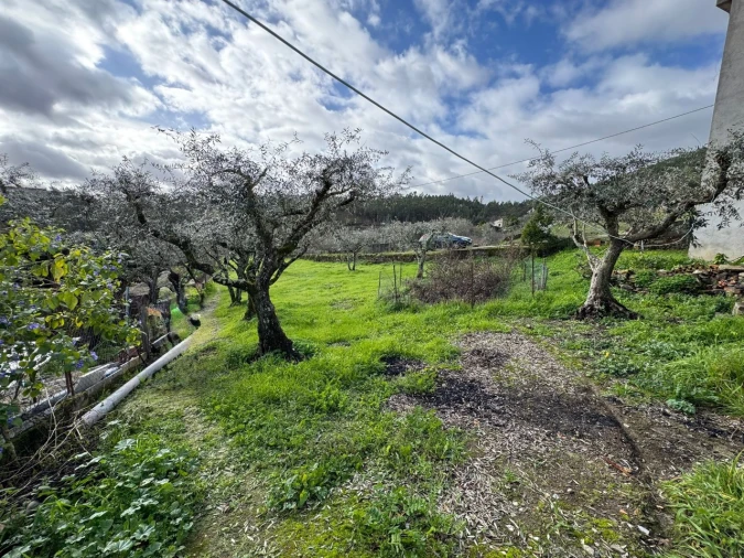 Moradia T2 para Venda em Mação, Penhascoso e Aboboreira Foto 19