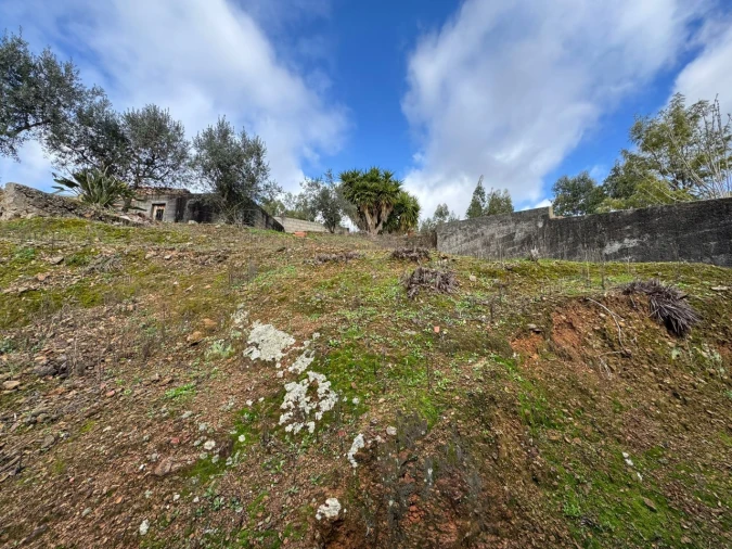 Moradia T2 para Venda em Mação, Penhascoso e Aboboreira Foto 21
