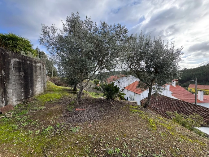 Moradia T2 para Venda em Mação, Penhascoso e Aboboreira Foto 24