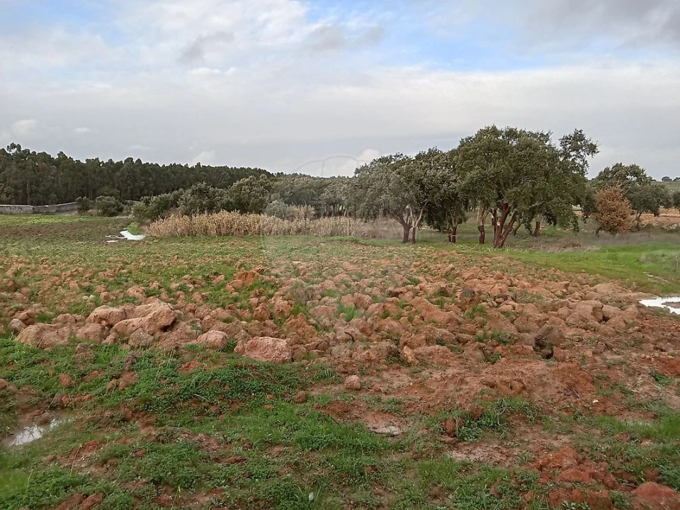 Terreno para Venda em Ereira e Lapa Foto 17