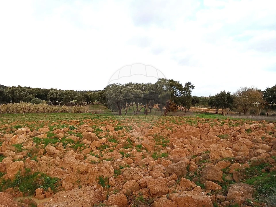Terreno para Venda em Ereira e Lapa Foto 21