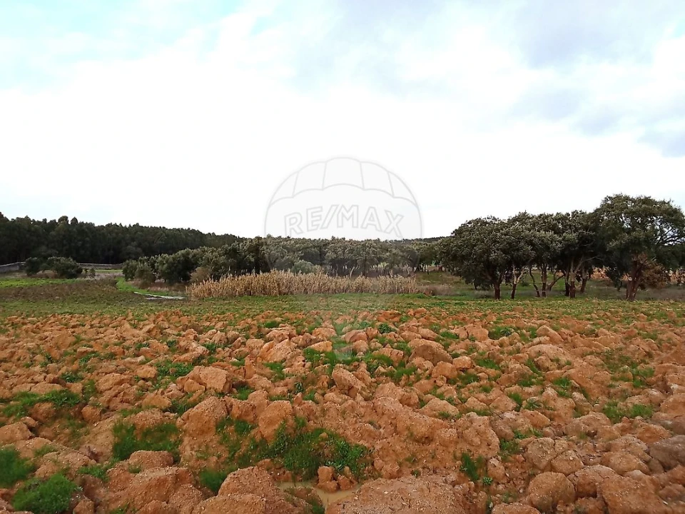 Terreno para Venda em Ereira e Lapa Foto 22