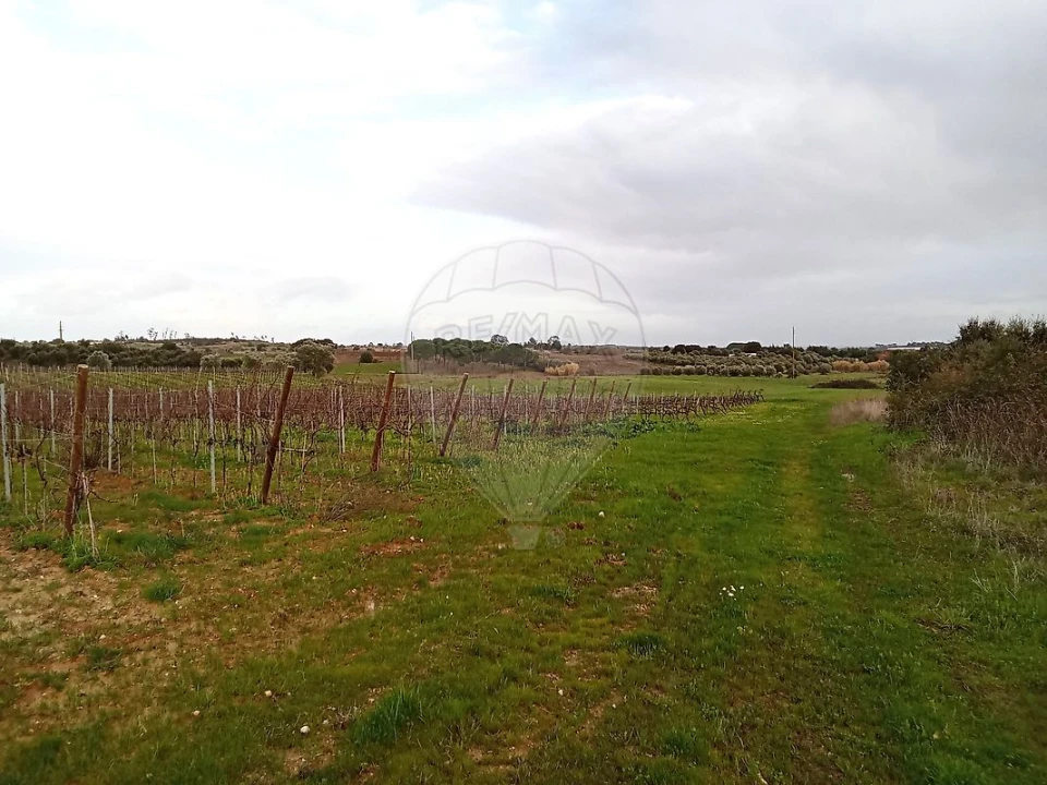 Terreno para Venda em Ereira e Lapa Foto 4