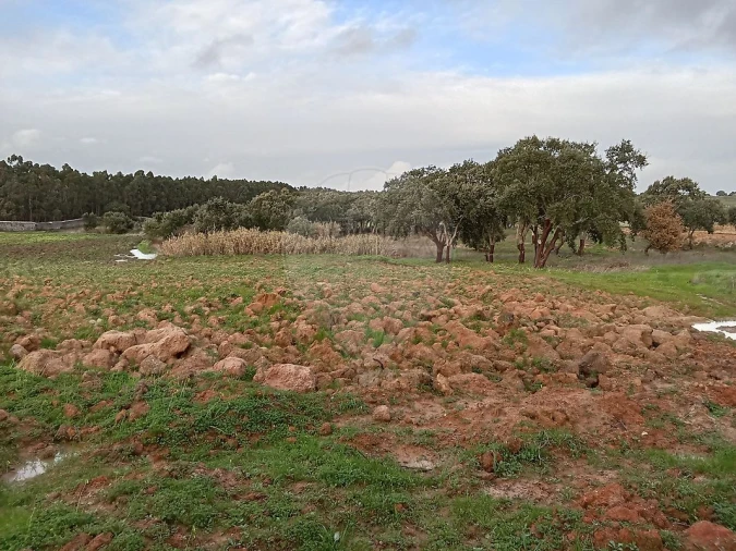 Terreno para Venda em Ereira e Lapa Foto 17