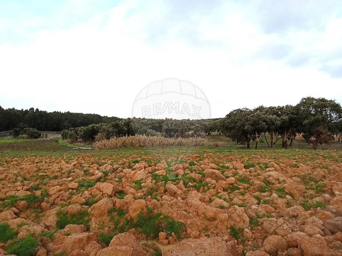 Terreno para Venda em Ereira e Lapa Foto 22
