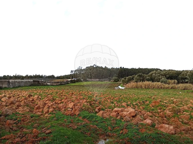 Terreno para Venda em Ereira e Lapa Foto 16