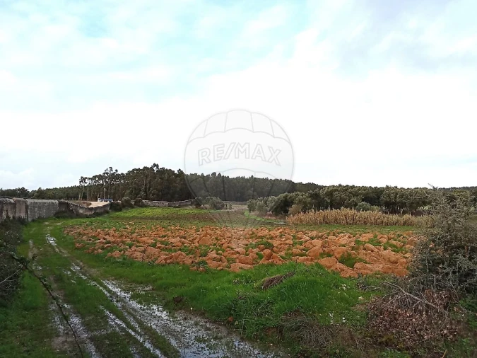 Terreno para Venda em Ereira e Lapa Foto 19