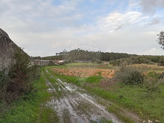 Terreno para Venda em Ereira e Lapa Foto 18