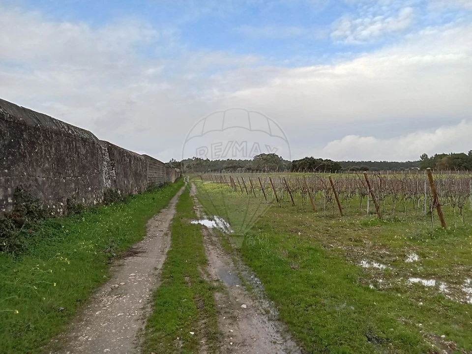 Terreno para Venda em Ereira e Lapa Foto 6