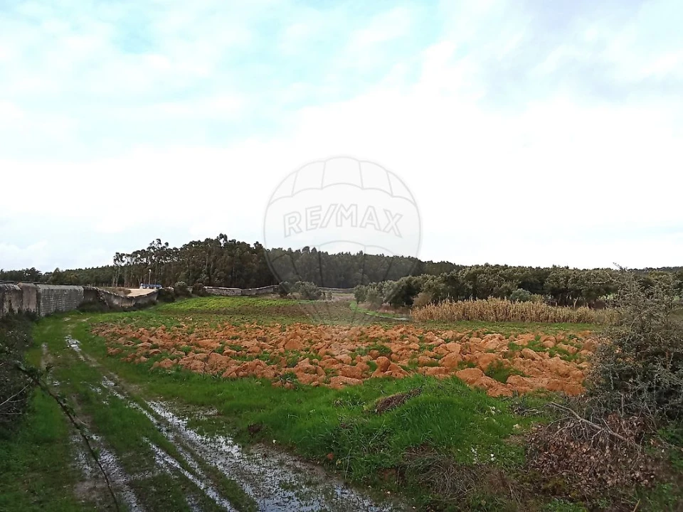 Terreno para Venda em Ereira e Lapa Foto 19
