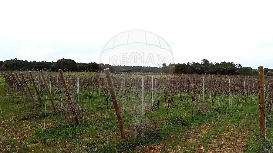 Terreno para Venda em Ereira e Lapa