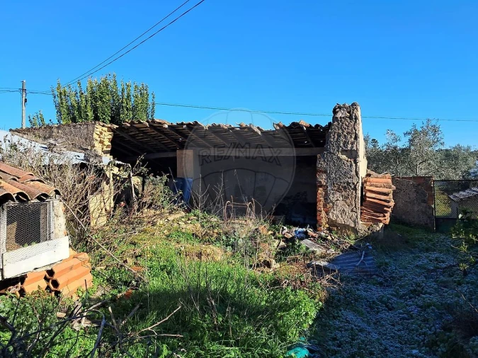 Moradia T3 para Venda em Alvega e Concavada Foto 4