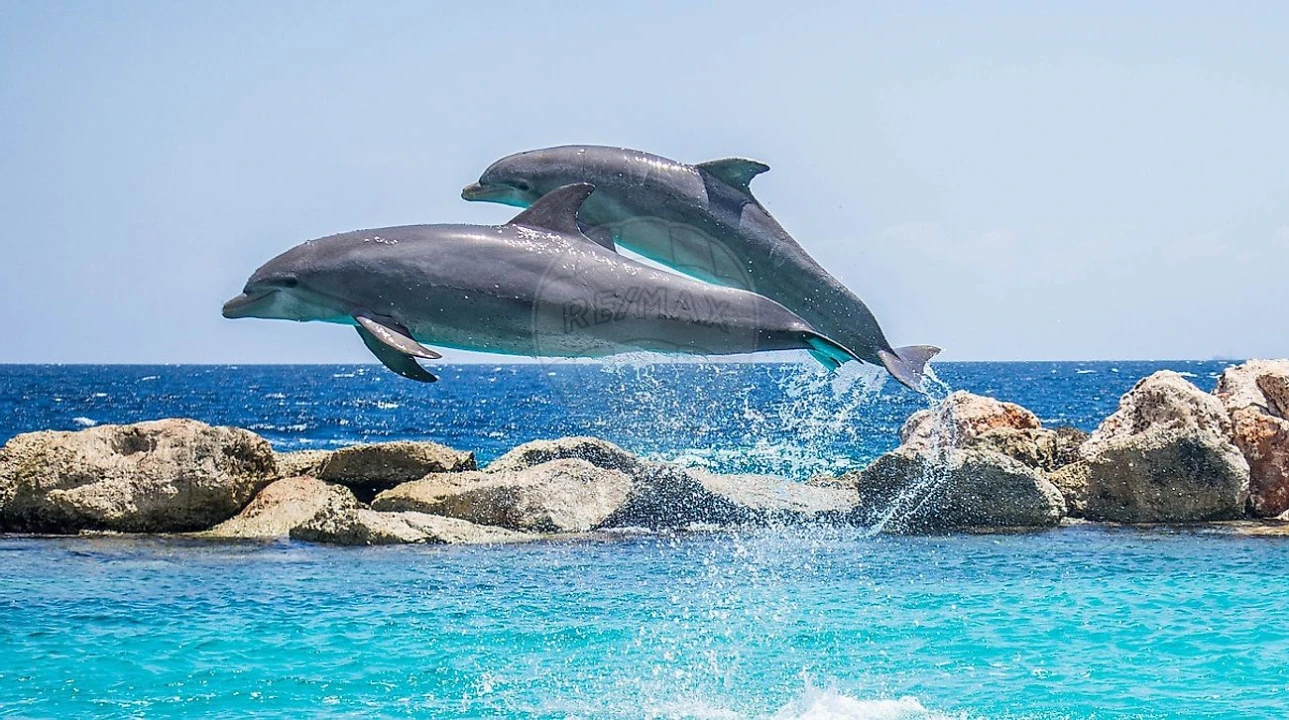 Apartamento T3 para Venda em Setubal (São Sebastião) Foto 3