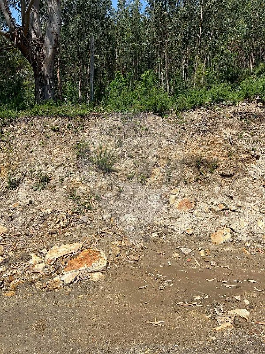 Terreno para Venda em Macieira de Cambra Foto 6