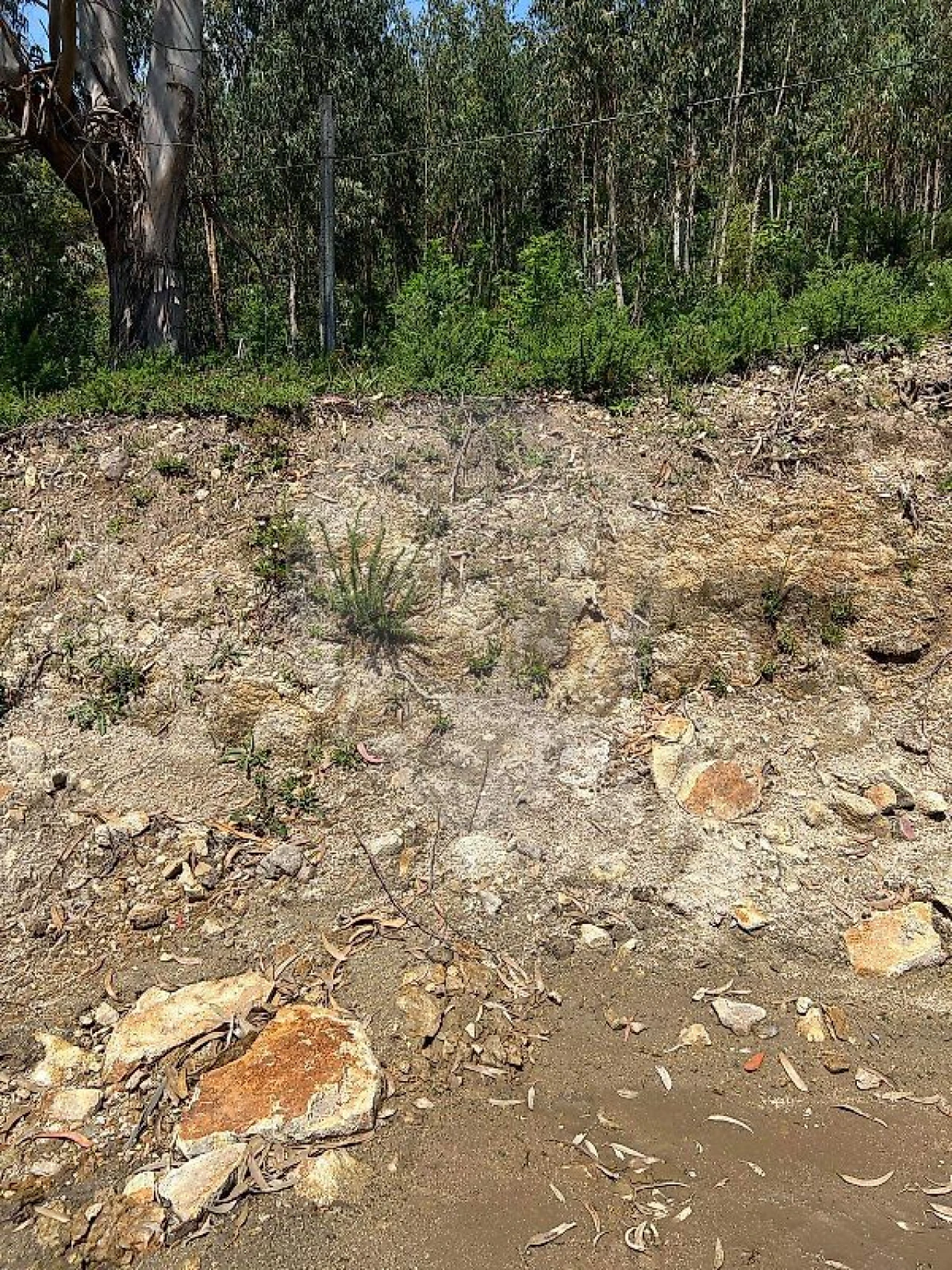 Terreno para Venda em Macieira de Cambra Foto 8