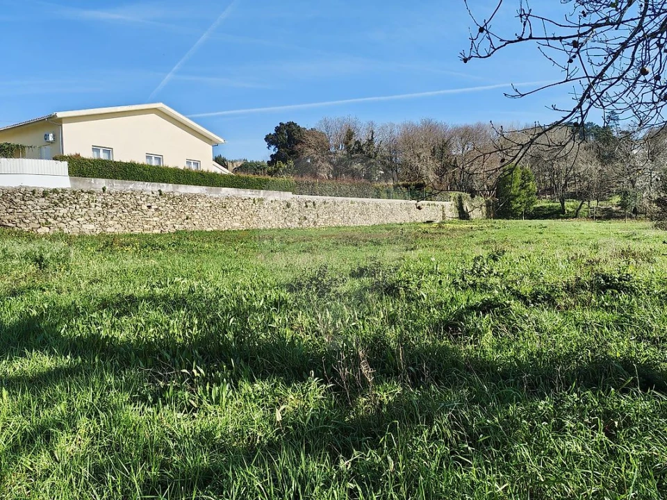 Terreno para Venda em Pinheiro da Bemposta, Travanca e Palmaz Foto 2