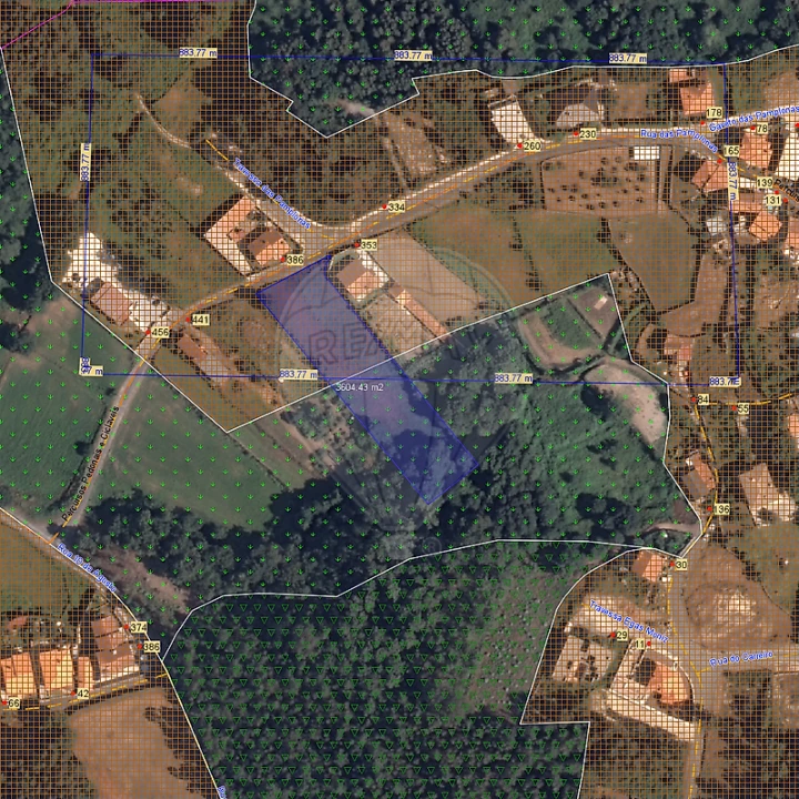 Terreno para Venda em Pinheiro da Bemposta, Travanca e Palmaz Foto 4