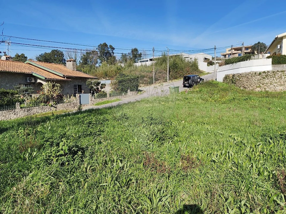 Terreno para Venda em Pinheiro da Bemposta, Travanca e Palmaz Foto 2
