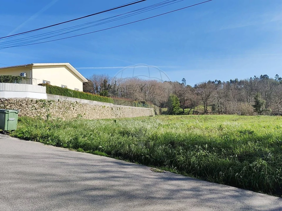 Terreno para Venda em Pinheiro da Bemposta, Travanca e Palmaz Foto 1