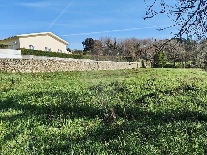 Terreno para Venda em Pinheiro da Bemposta, Travanca e Palmaz Foto 2