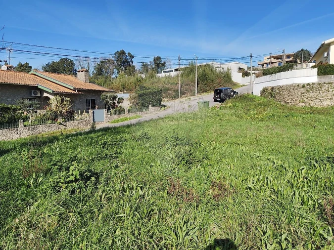 Terreno para Venda em Pinheiro da Bemposta, Travanca e Palmaz Foto 2