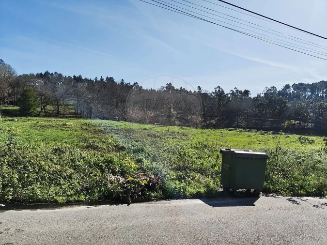 Terreno para Venda em Pinheiro da Bemposta, Travanca e Palmaz Foto 6